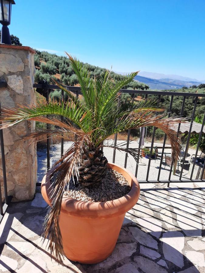 Hacienda La Buena Vida B&B En Appartementen Casita Almendas La Carrera de la Viña Exterior foto