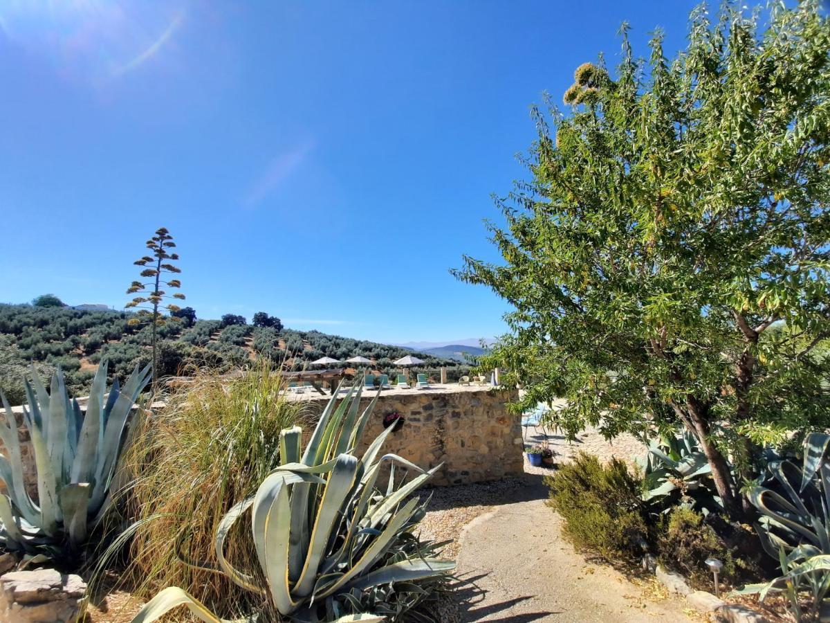 Hacienda La Buena Vida B&B En Appartementen Casita Almendas La Carrera de la Viña Exterior foto